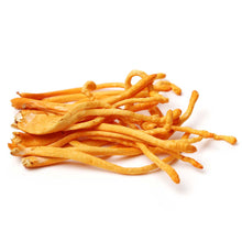 Cordyceps mushroom against white background