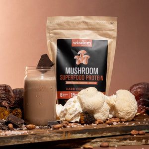 Wisdom Superfood Flavor Bundle: Dark Chocolate & French Vanilla with 15g Protein Per Serving