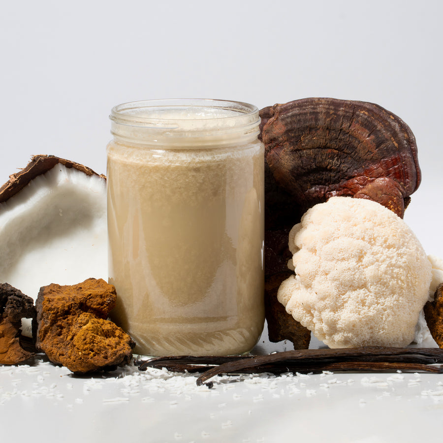 Wisdom Superfood Flavor Bundle: Dark Chocolate & French Vanilla with 15g Protein Per Serving